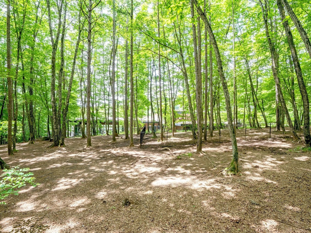 Yatsugatake Wan Wan Paradise Cottage