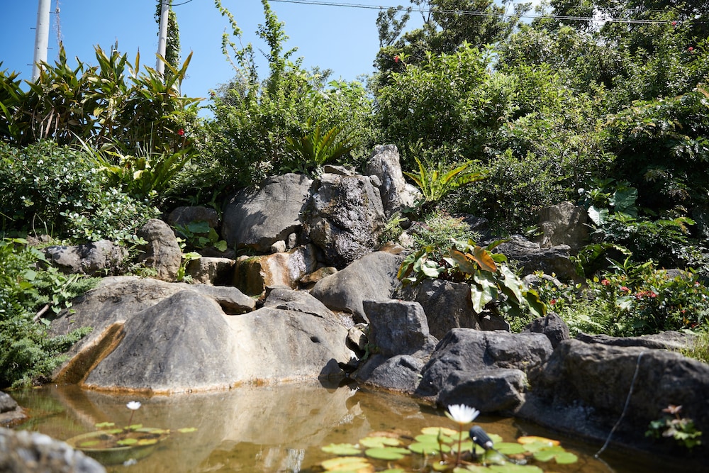 Photo 43