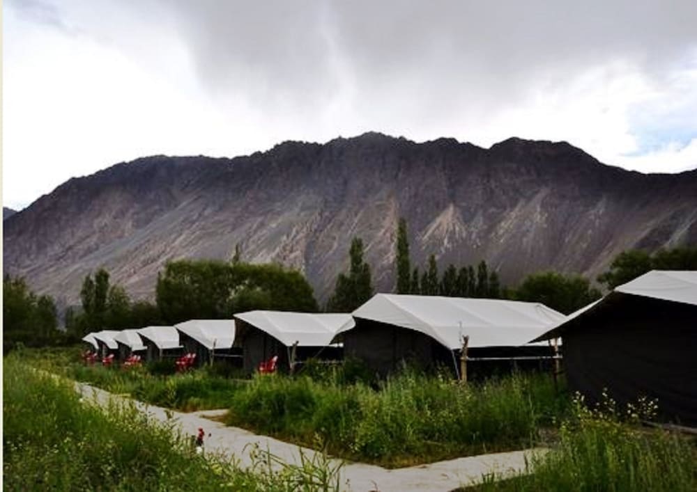 TIH Cold Desert Camp