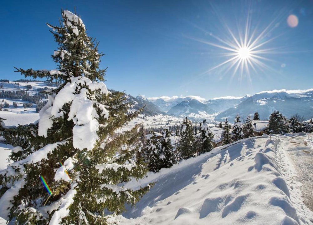 Contemporary Swiss Escape