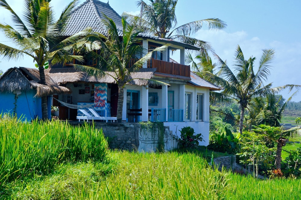 Dikaloha Medewi Surfcamp