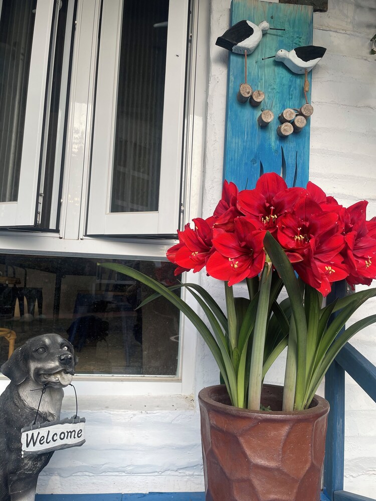 LanJen Villa B&B