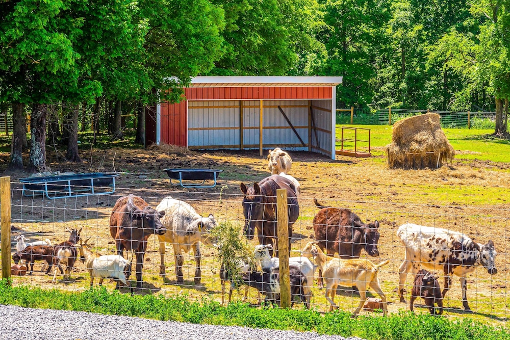 other