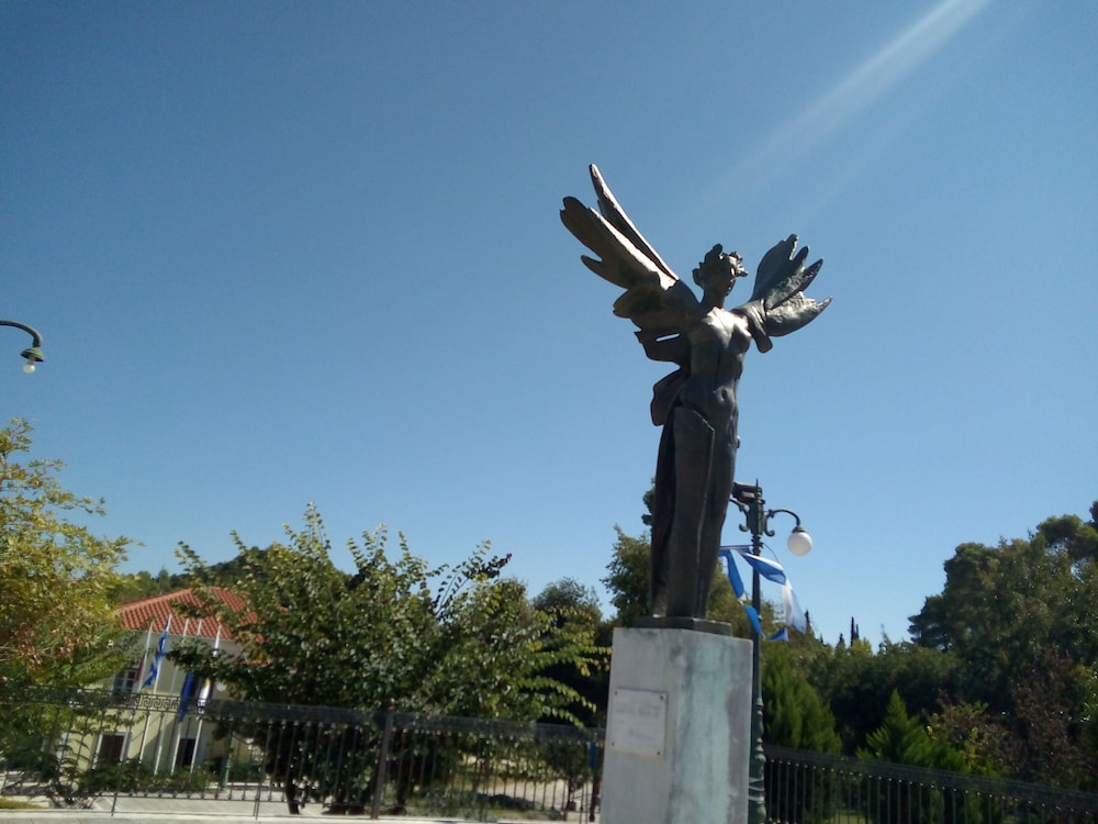 Photo 19