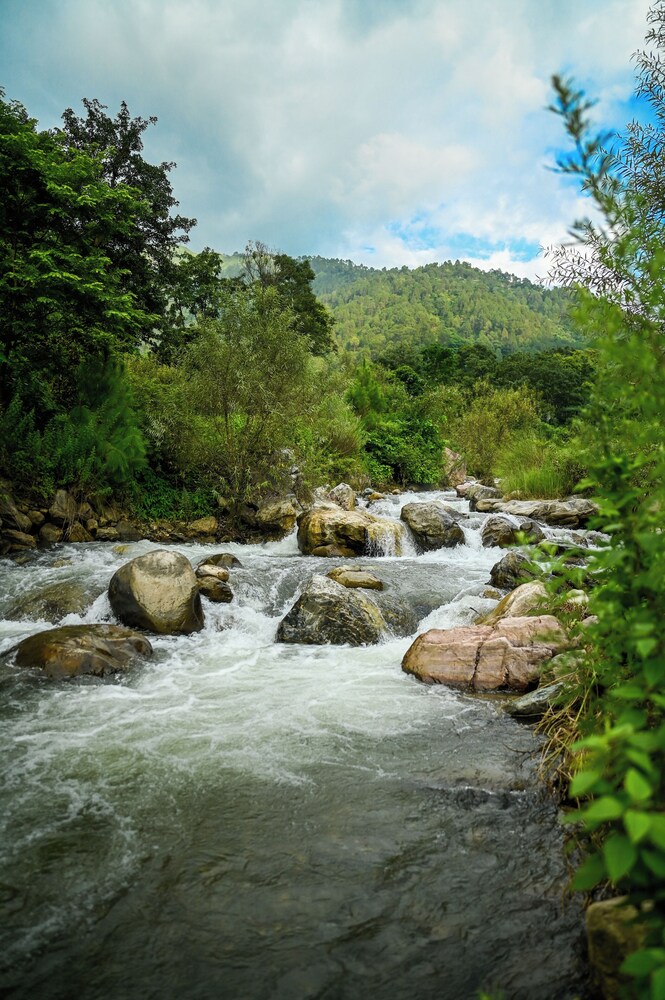 Geeta Ji - Forest Retreat