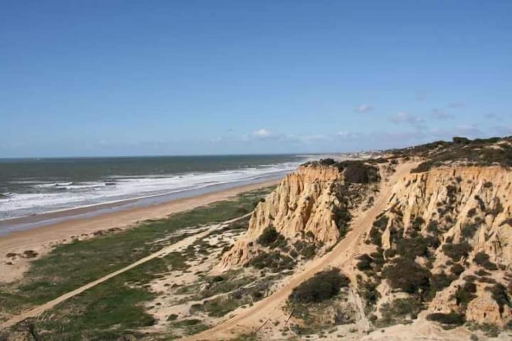 Photo 41