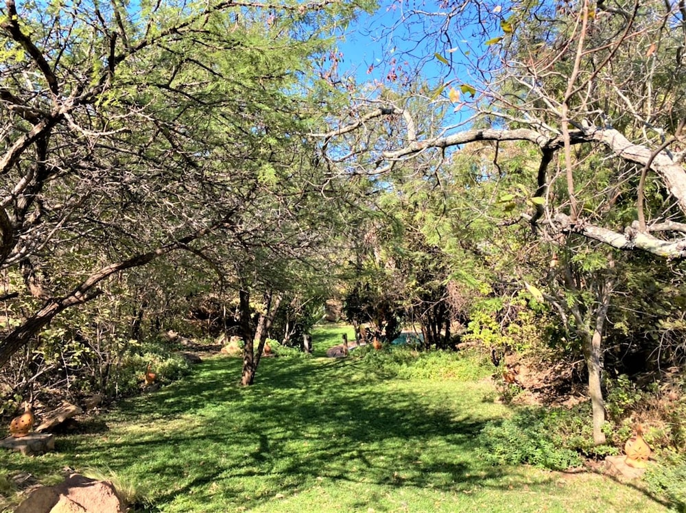 Family Lodge in Natural African Bush - 2113