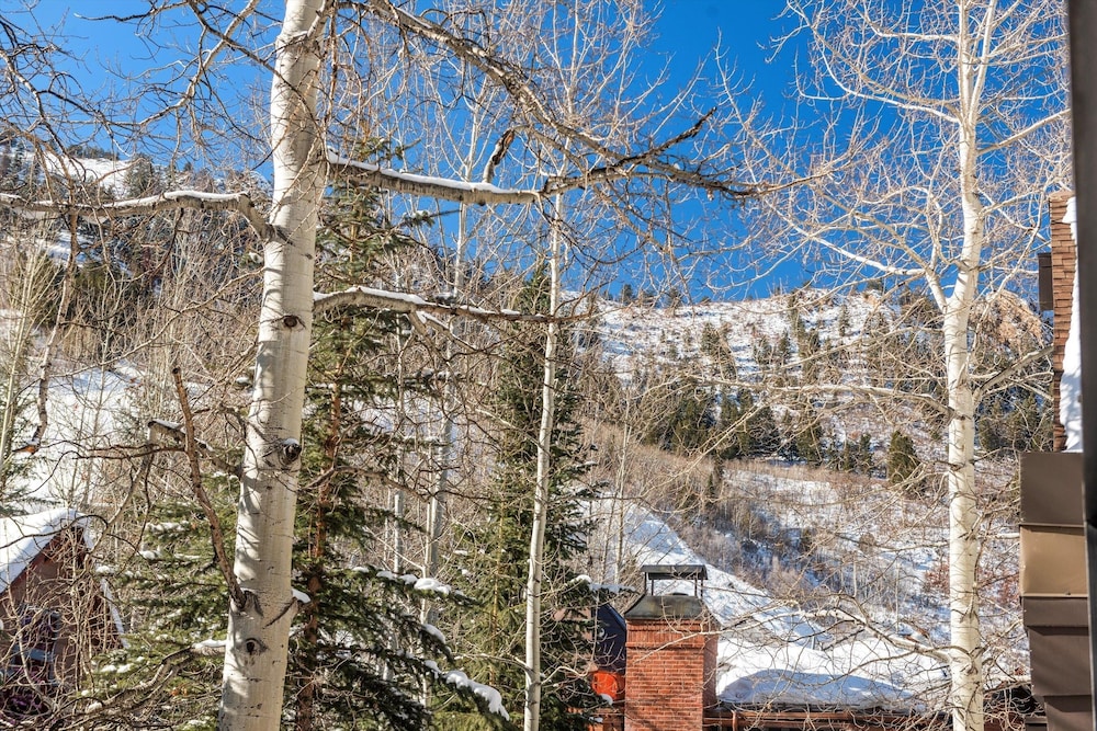 Downtown Aspen Studio Steps to Gondola & Trails - 305A
