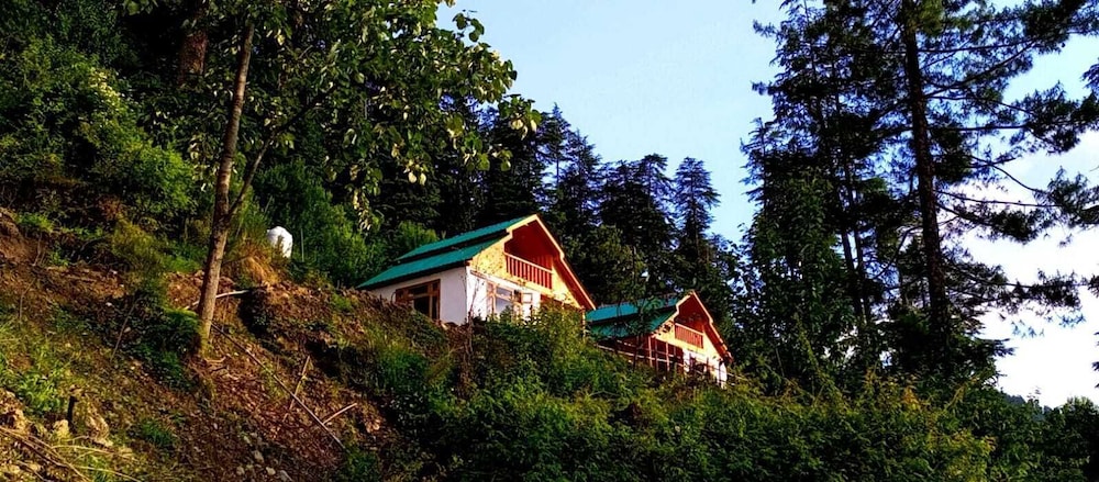 Timber nest Cottage