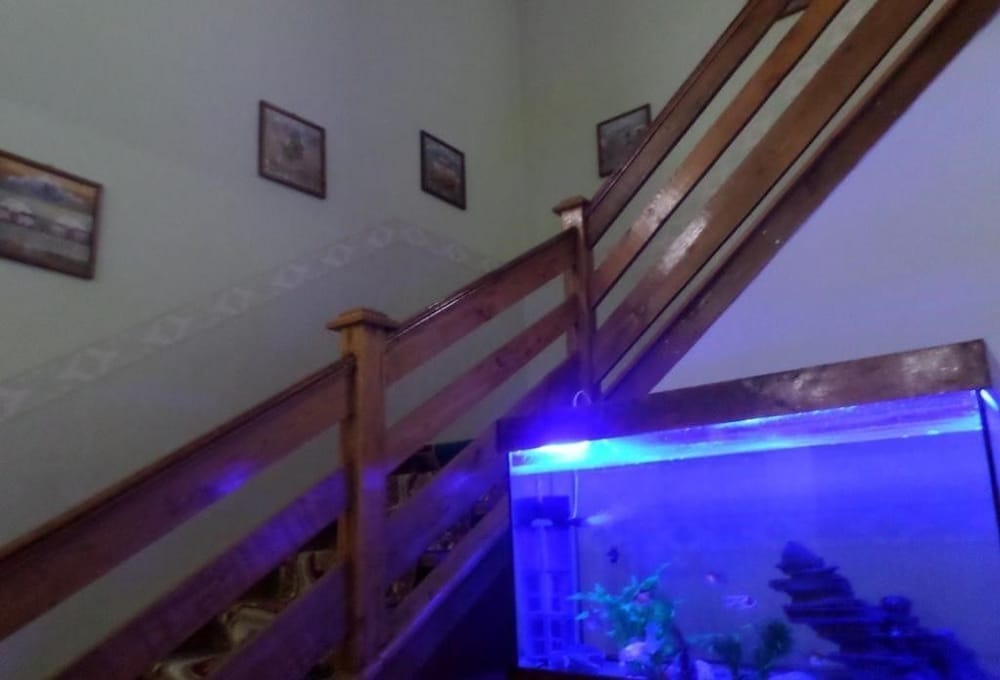 Photo 29