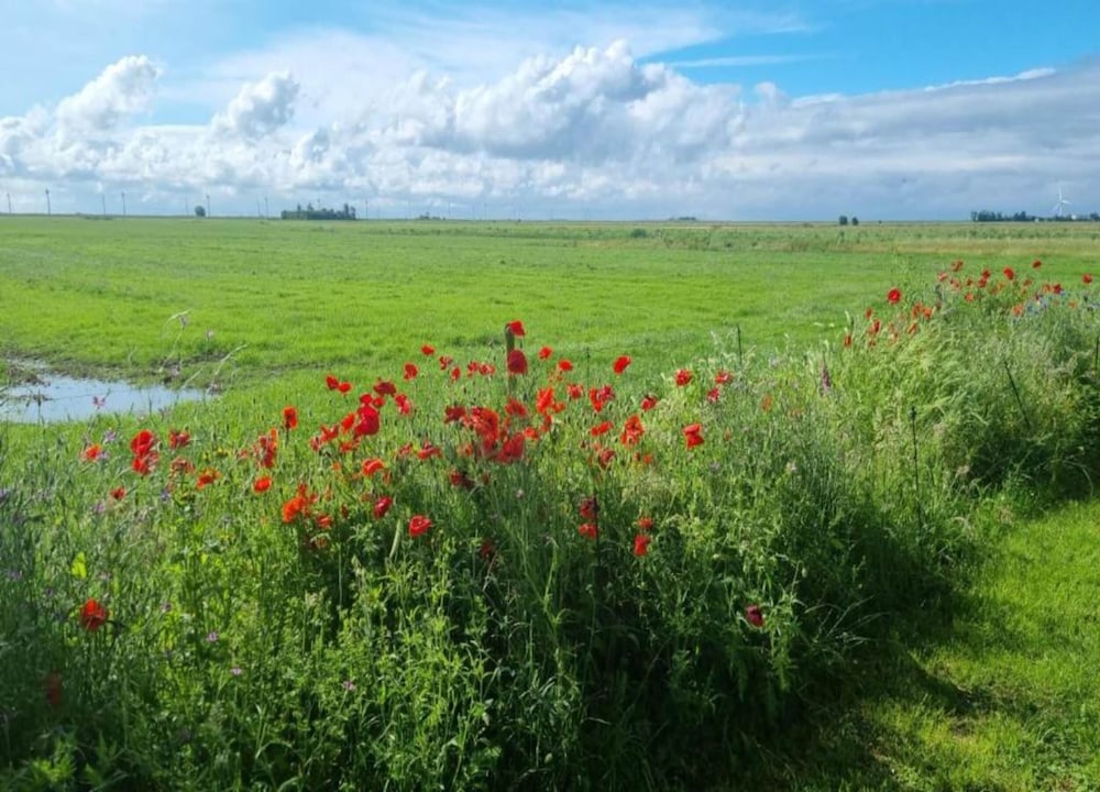 Bungalow in Sondel Near Slotermeer Lake