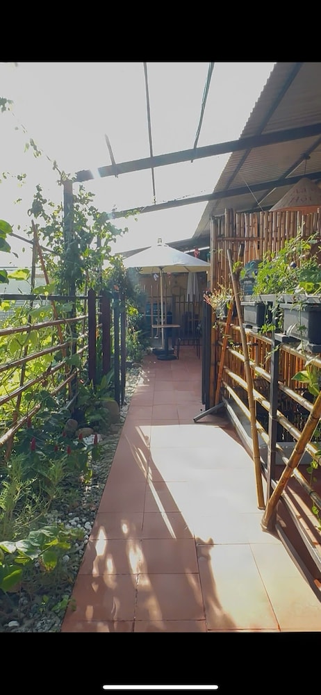 Laa House Hoi An