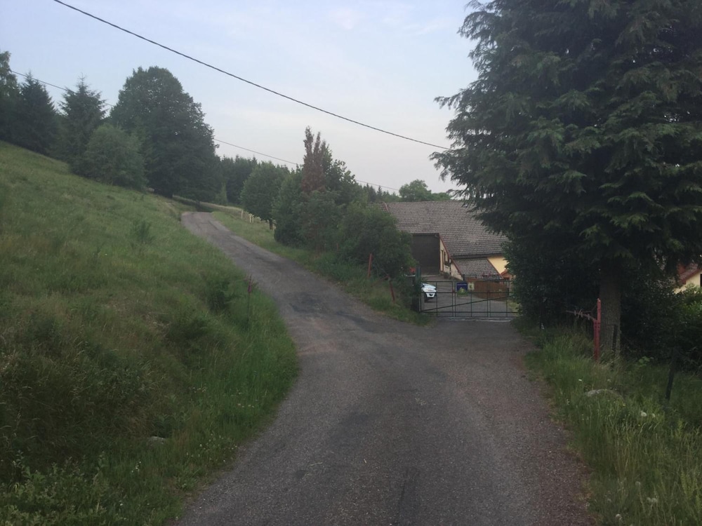 Photo 26