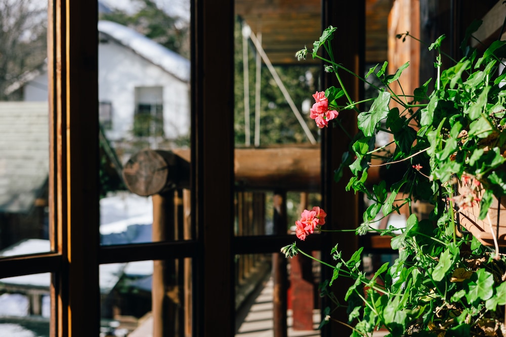 Hakuba Log Hotel Meteor