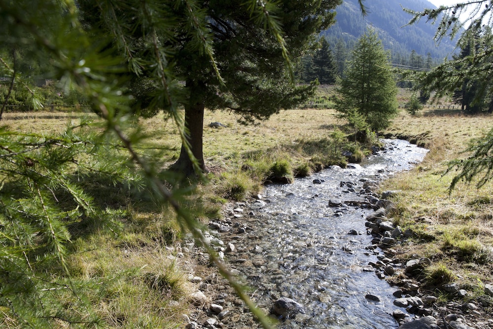 Spinas Gasthaus Val Bever - Hostel