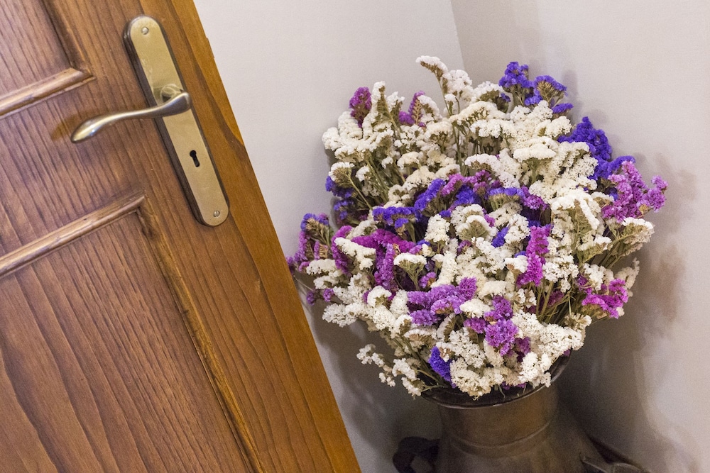 Charming Antas House, photo 207