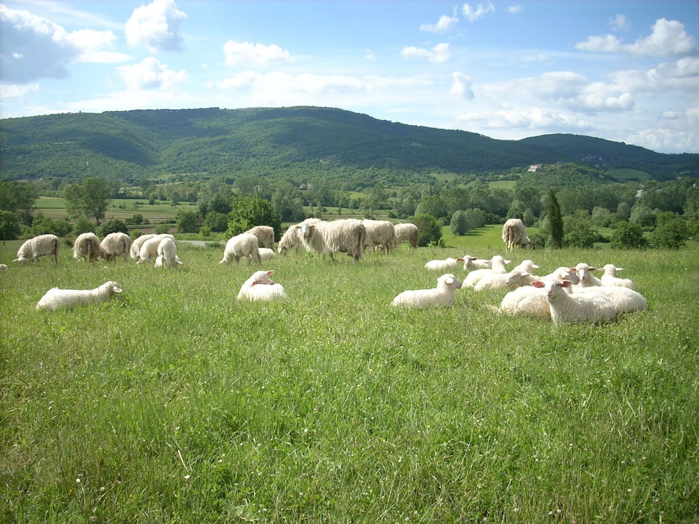 Agriturismo Villa Martis