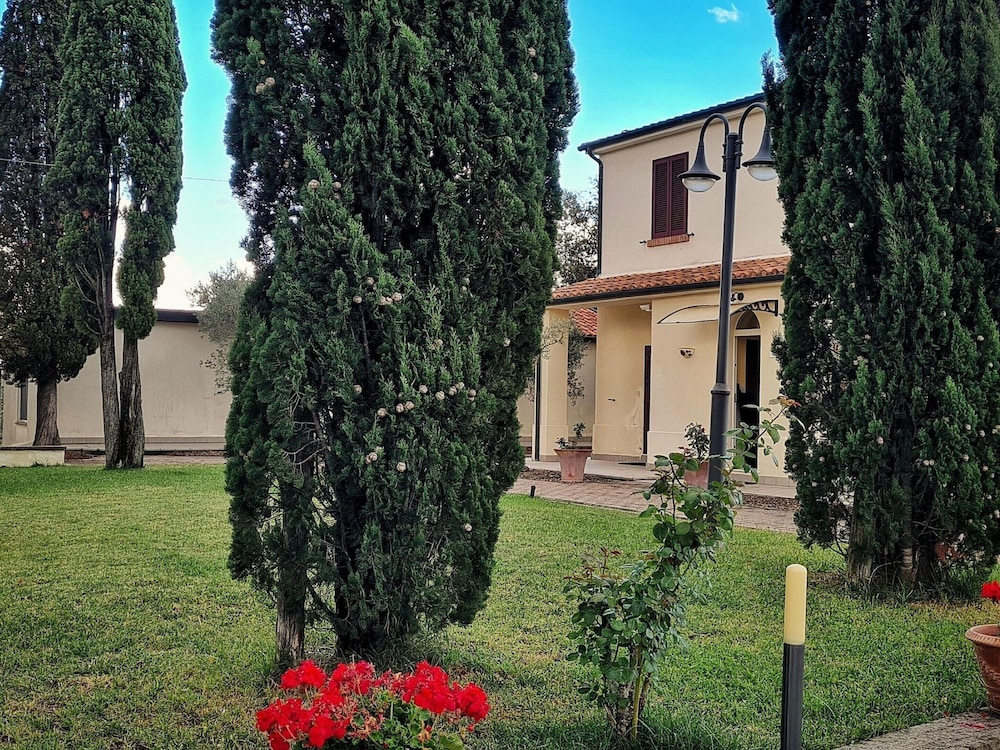 Photo 9