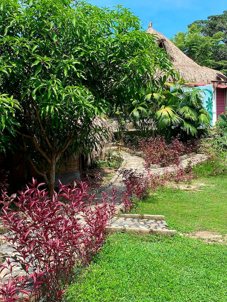 Magic Greeen Tayrona