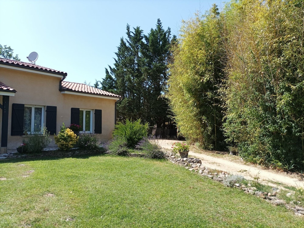 Photo 19