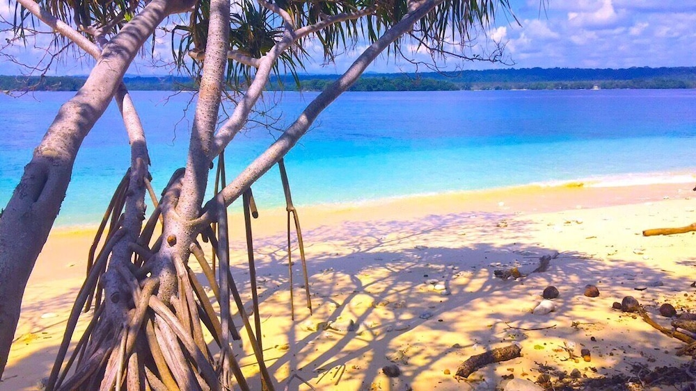 Dany Island