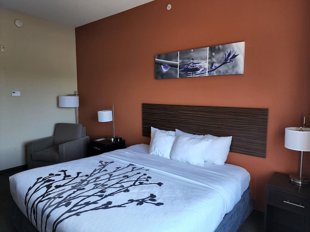 Dyersburg Vacations - Sleep Inn  Suites Dyersburg I-155 - Property Image 40