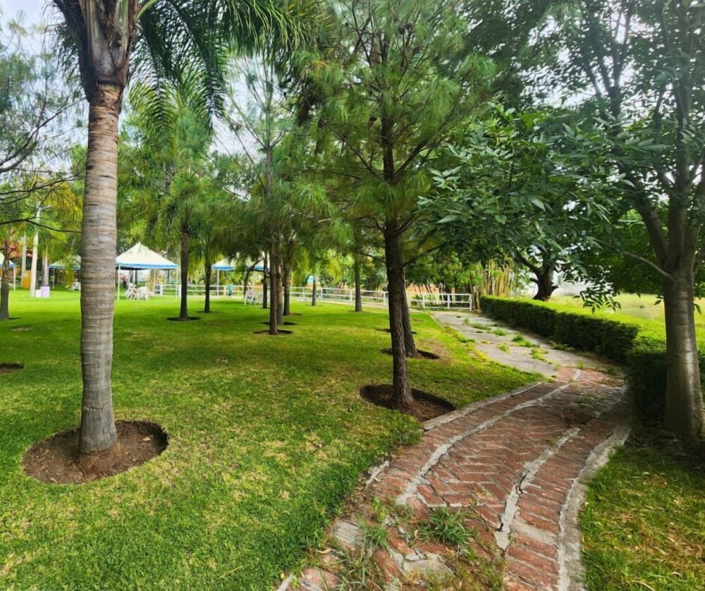 Parque Girasoles Balneario & Cabañas