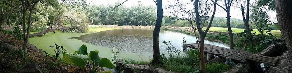 Photo 27
