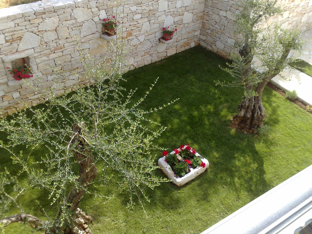 Photo 43