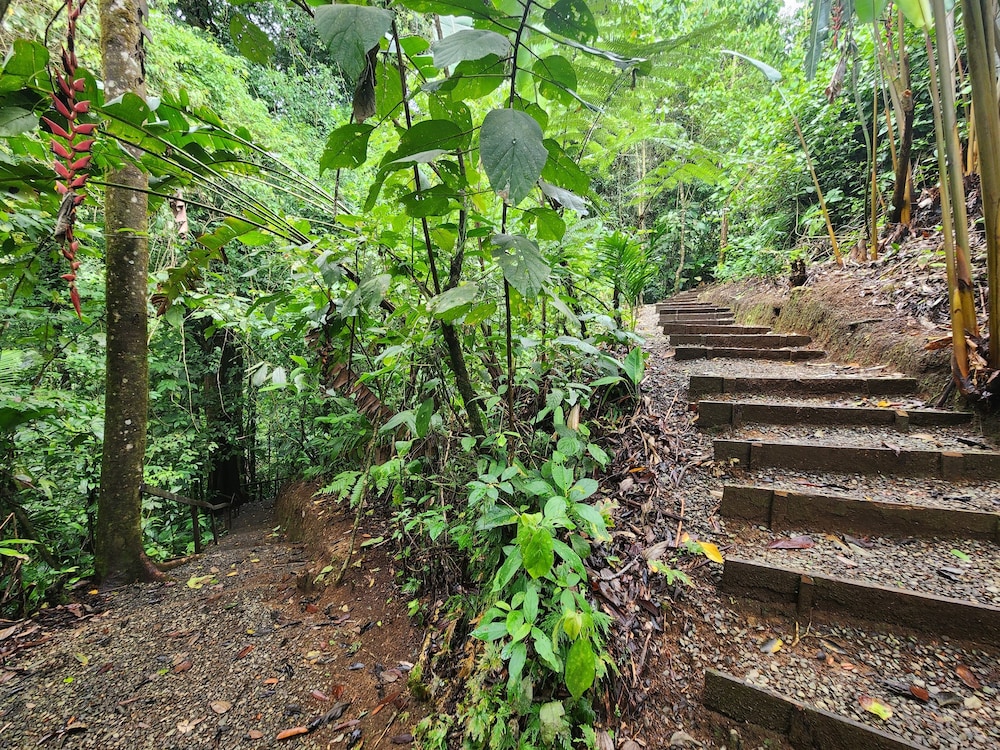Cabañas Caeli, El Colibri, NEW La Fortuna Rainforest Cabin w Panoramic Views