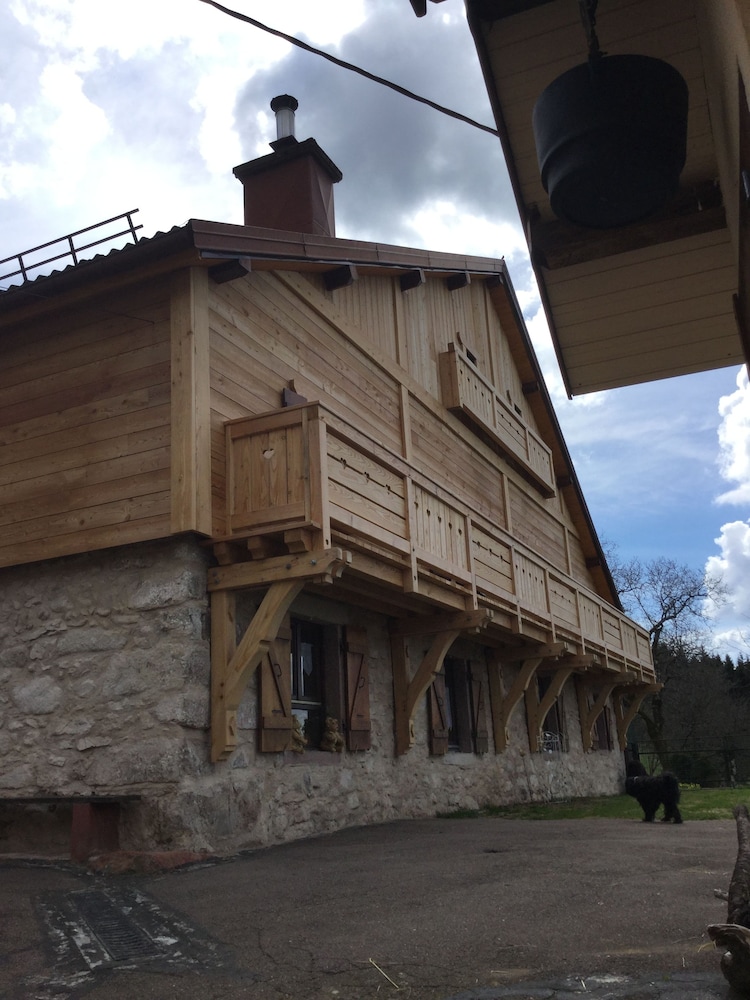 Photo 38
