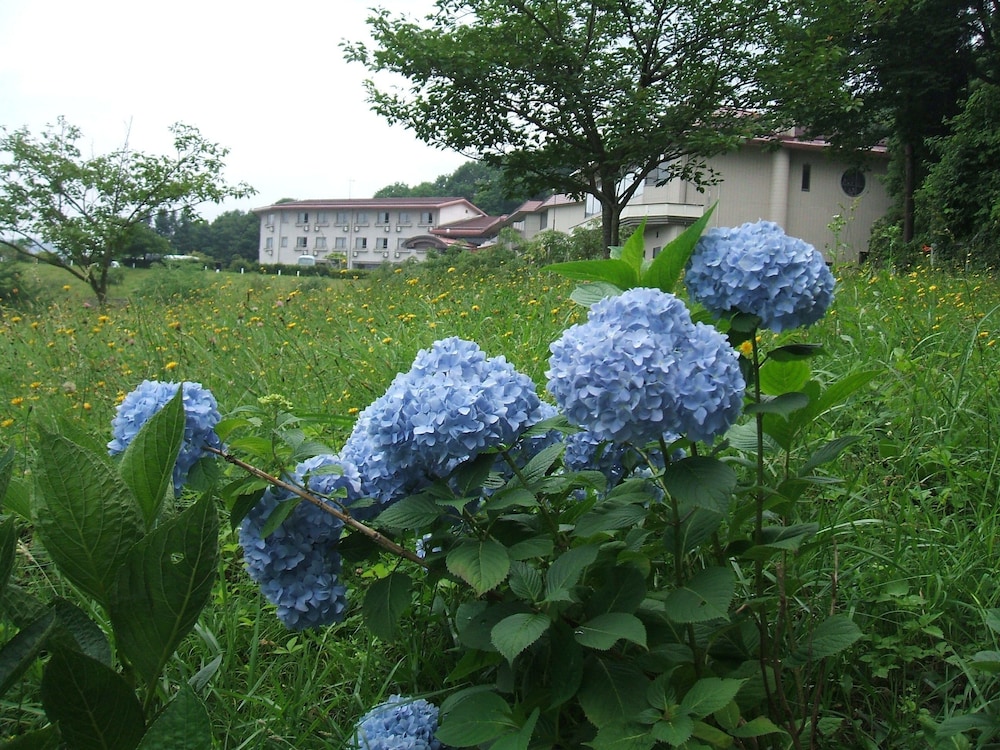 Photo 40