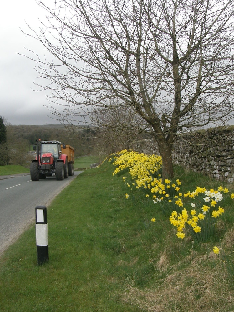 Dalesbridge
