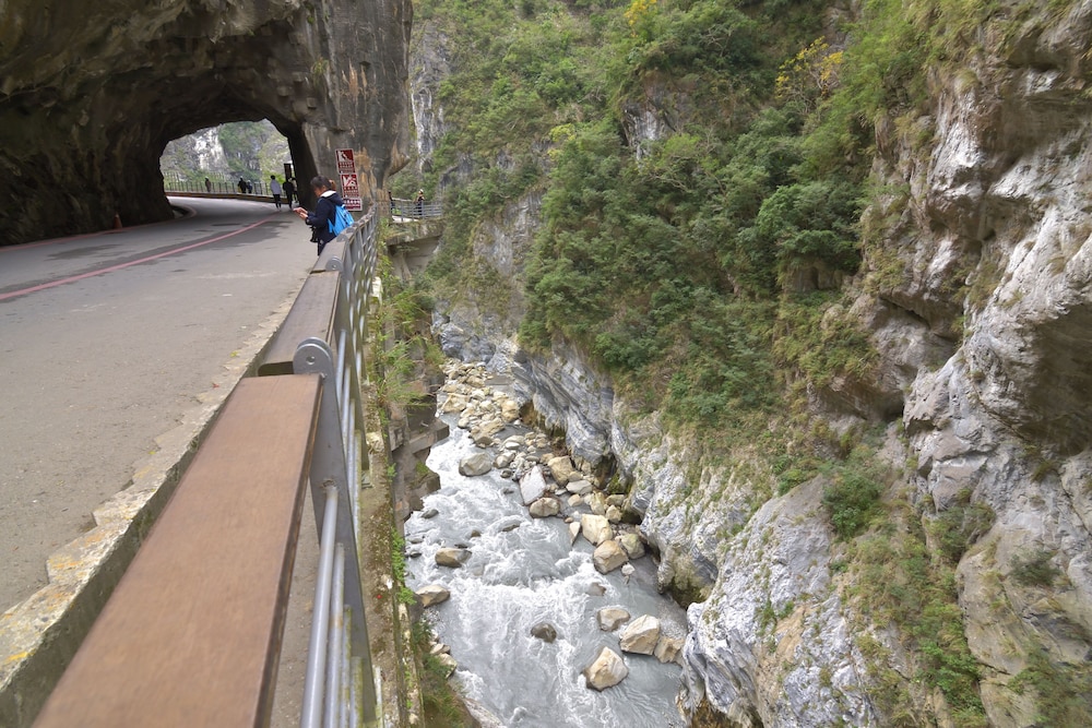 Hive Backpackers