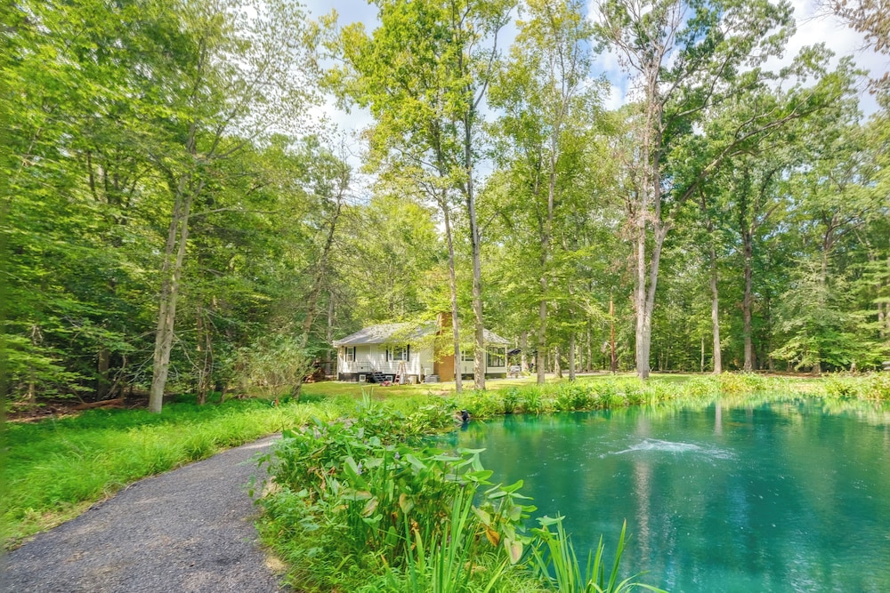 1/2 Acre Pond, Rec Room! Private Oasis in Nanjemoy