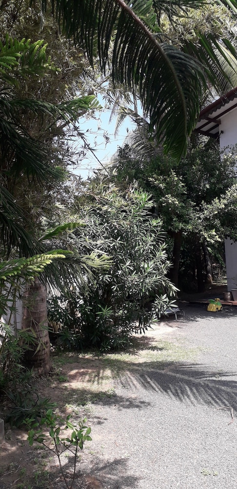 Photo 22