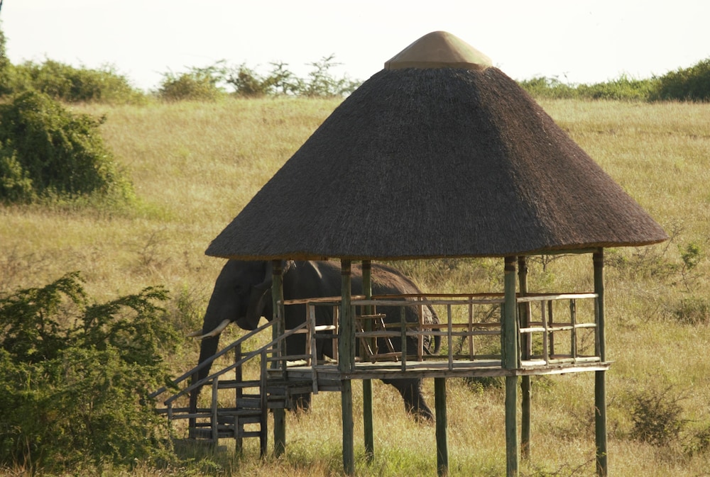Kasenyi Safari Camp