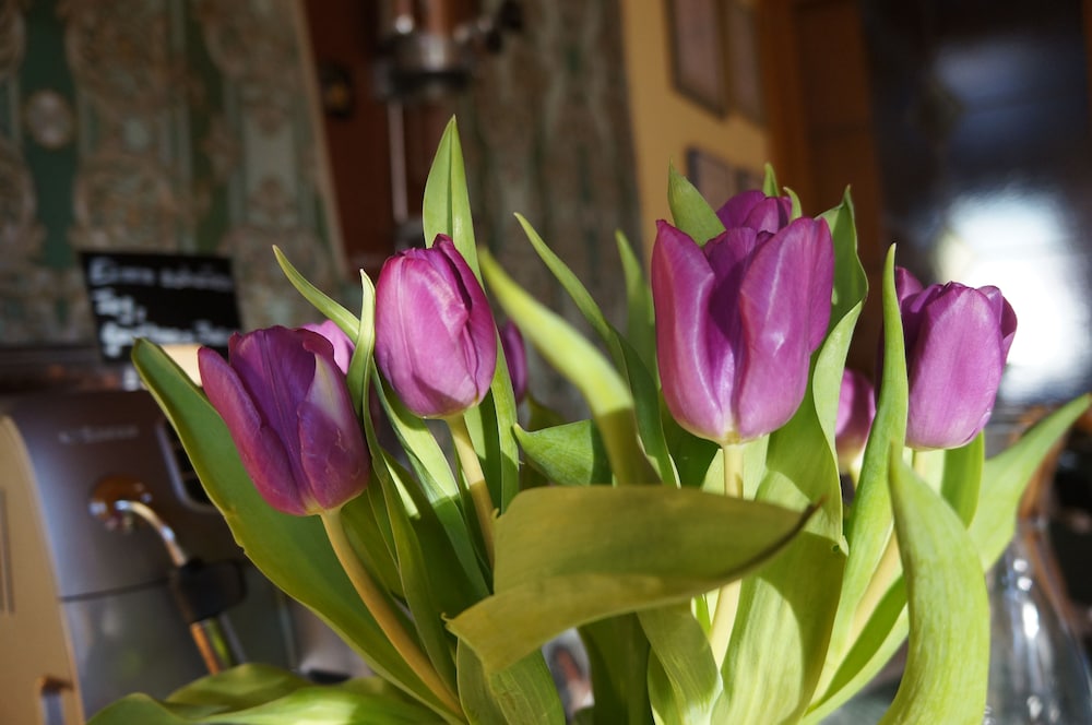 Photo 46