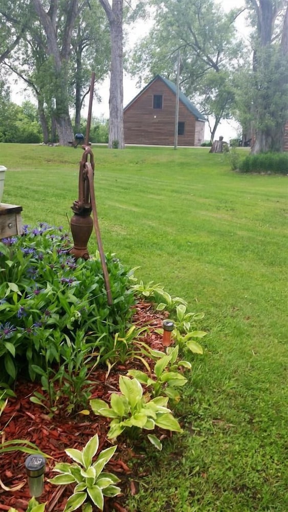 Photo 8