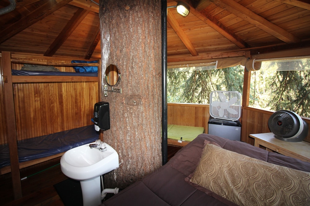 Out 'N' About Treehouse Treesort view 4
