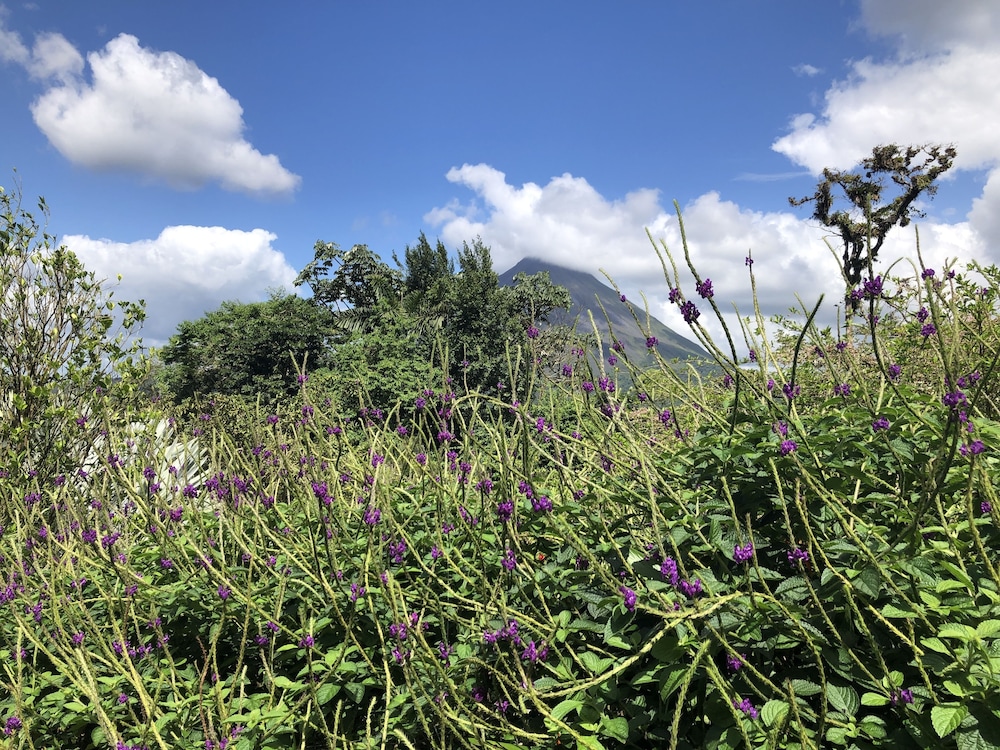 Arenal Garden Lodge