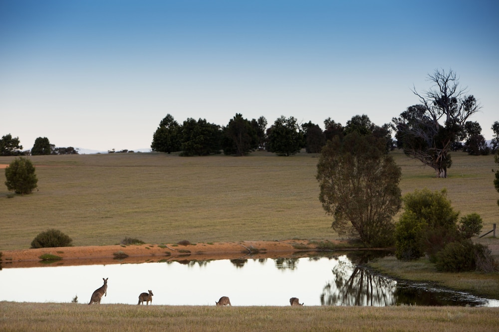 Boroka Downs