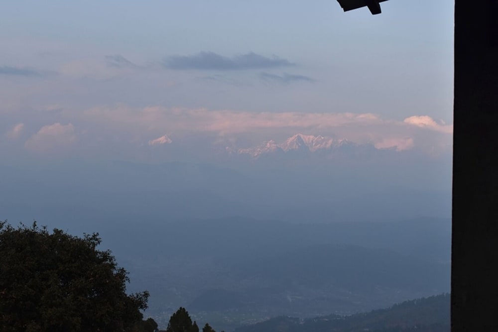 Blossom Hideaway Kausani