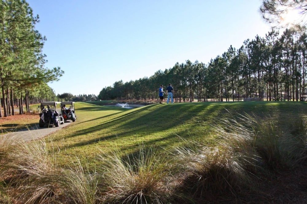 446 Highlands Reserve - Image 5