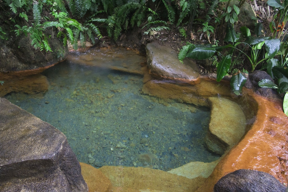 The Springs Resort & Spa at Arenal 52