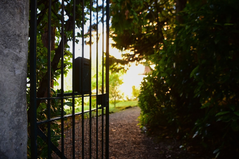Photo 45