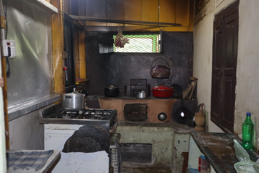 The Bicknell's Nest
