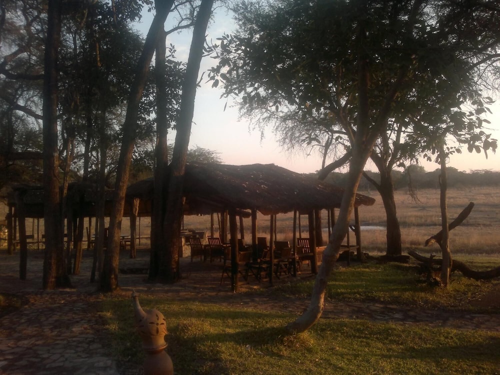 The Tree Lodge at Sikumi