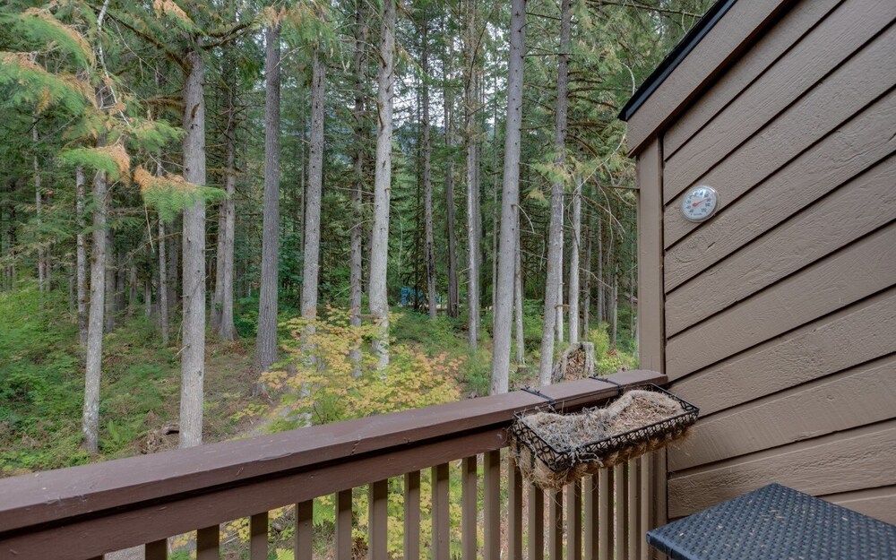 Glacier WA Mt Baker Vacation Rentals