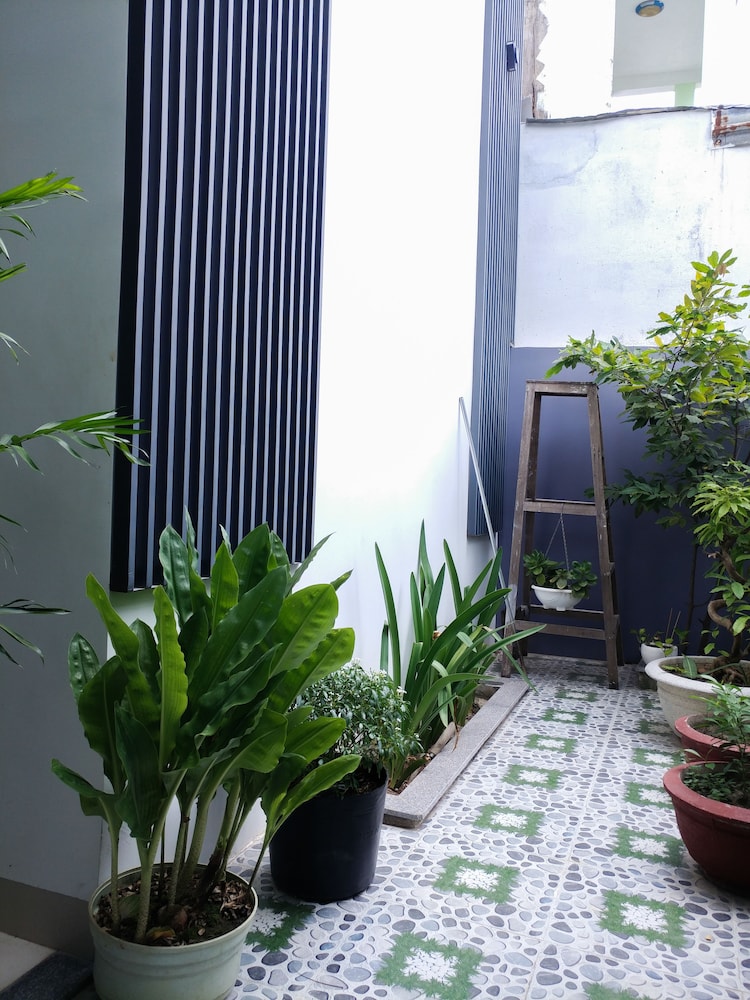 Cukoo House